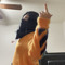 Zayteo