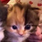 lola