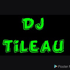 DJ TI-LEAU