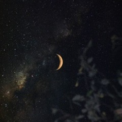 the.starless