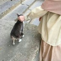 نازلي؛