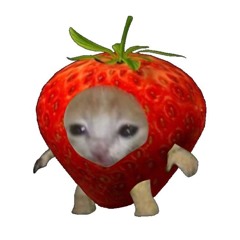 YOSRR