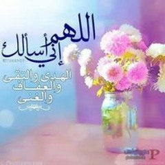 Khaled Alsayed