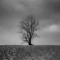 Dark dreams