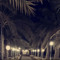 al-abdullah