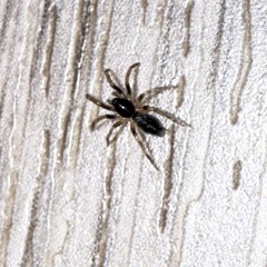 heheheheehehehehhHHEEHEHEHEHEHEHEHEHEHheheheheXXV