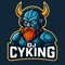 DJ_CYKING