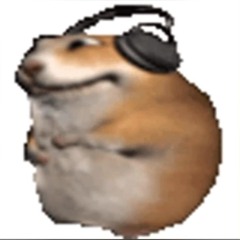 termi