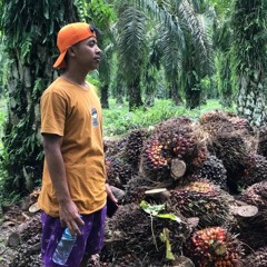 MUHAMMAD DIKA
