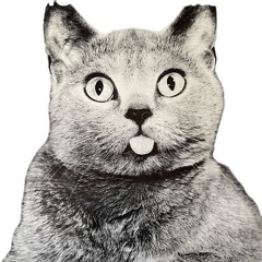 Herr von R