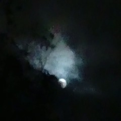 MOONRIS3