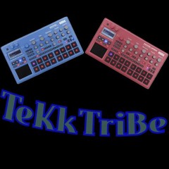 TeKkTriBe