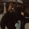 Trissavy (lxlsteez)