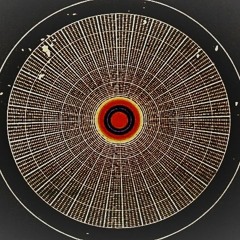 Chopinsop35
