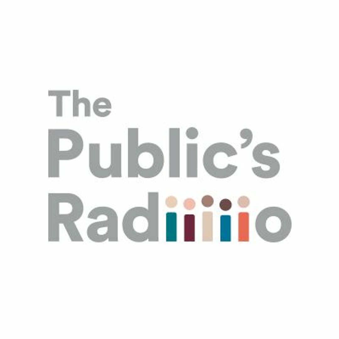 The Publics Radio - Hard News - Prospect Medical