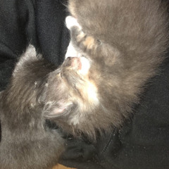 butteringbreadupsidedown