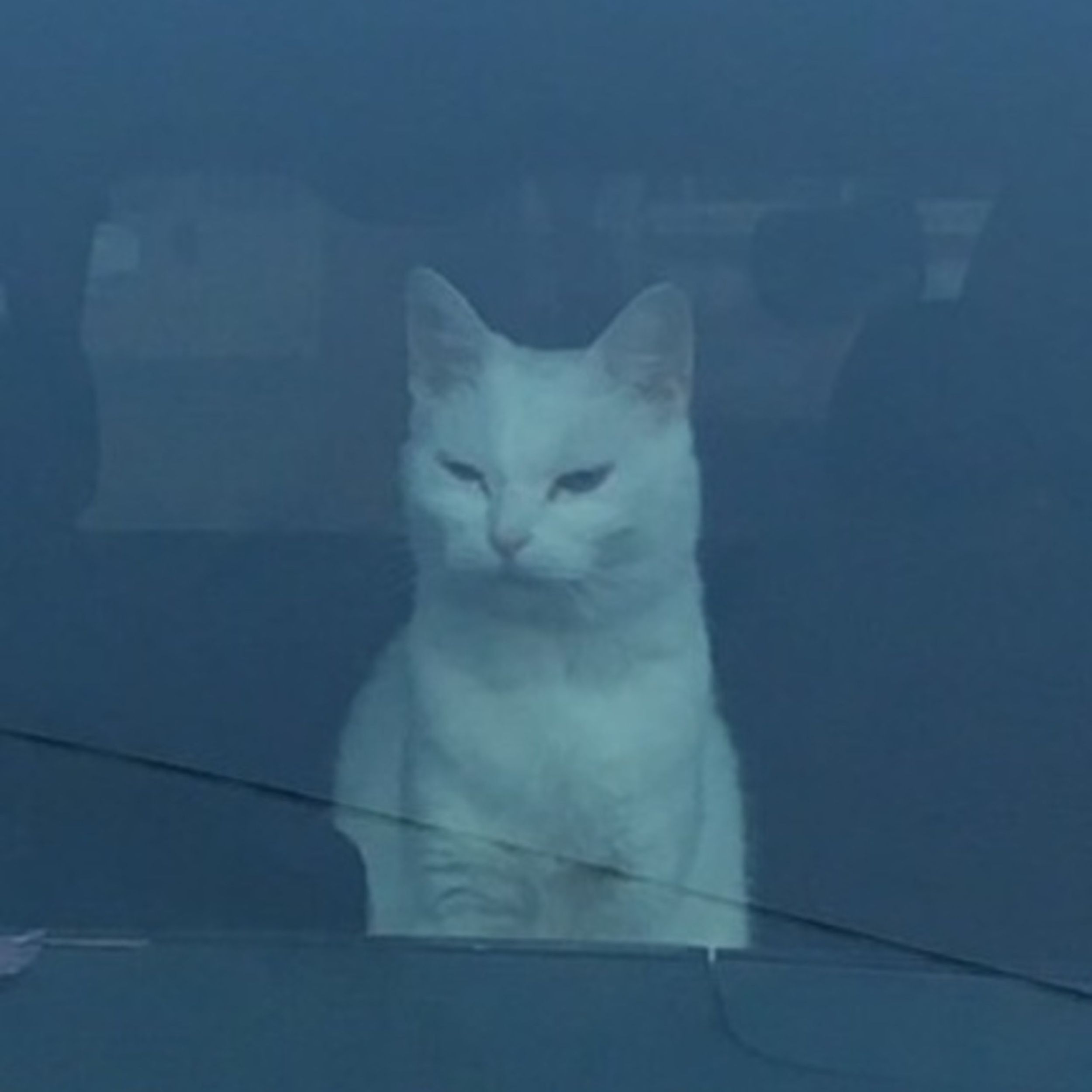 ep03.  緊急AGEオタ躁的KOC会議