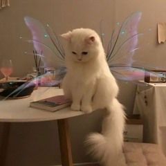 ivynka
