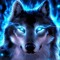 Shadow_Wolf*