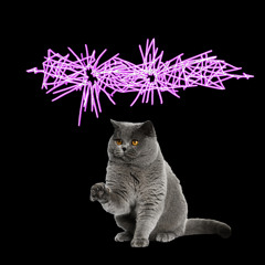 Noiseblister
