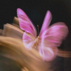 EMBEE