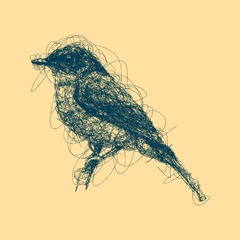 Caroline Bluebird