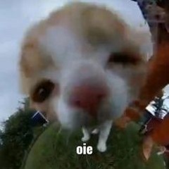 °¤*(¯´★`¯)*¤°