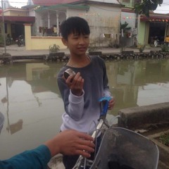 n.v_tinh
