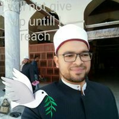محمد عبد الموجود’s avatar