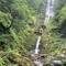 RestlessNature