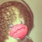 luvtwic3 @frankentwic3