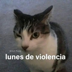 Yato