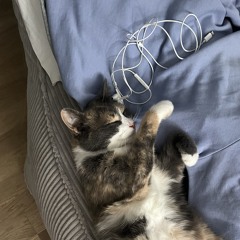 babalessing