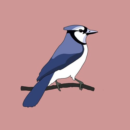 Jay — artist photo