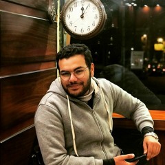 Mohamed safwat Modhiy