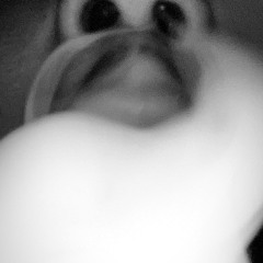ebkkli7