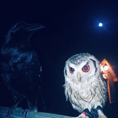 DJMurda (Leo Vargas Jr)