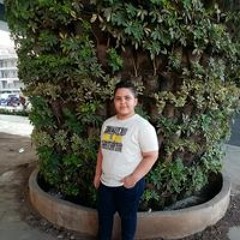 Youssef Adel