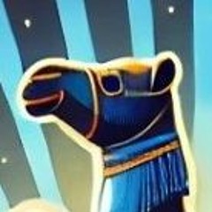 Camel Funf