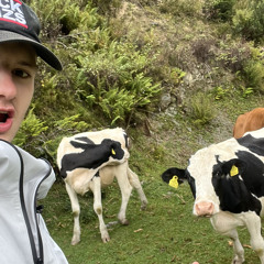 Tom