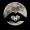 Hasnaa Mohamed Nooh