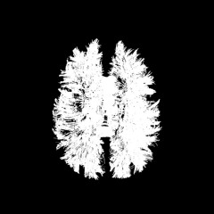 Queens of the Stone Age - Go with the Flow (Mindshell Remix) [pitched for algo]