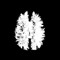 MINDSHELL