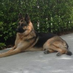 Anja xxx