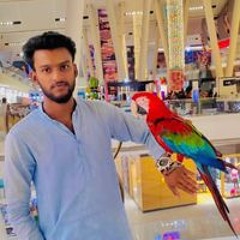 Shahid King