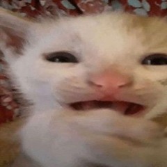 aru