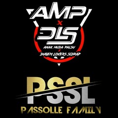 PRIVAT AMP X DLS X PSSL
