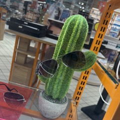 ThommyThommY