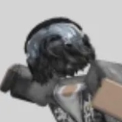 Deroxx trokye