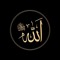 M.Ibrahim